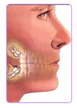 Orthodontics